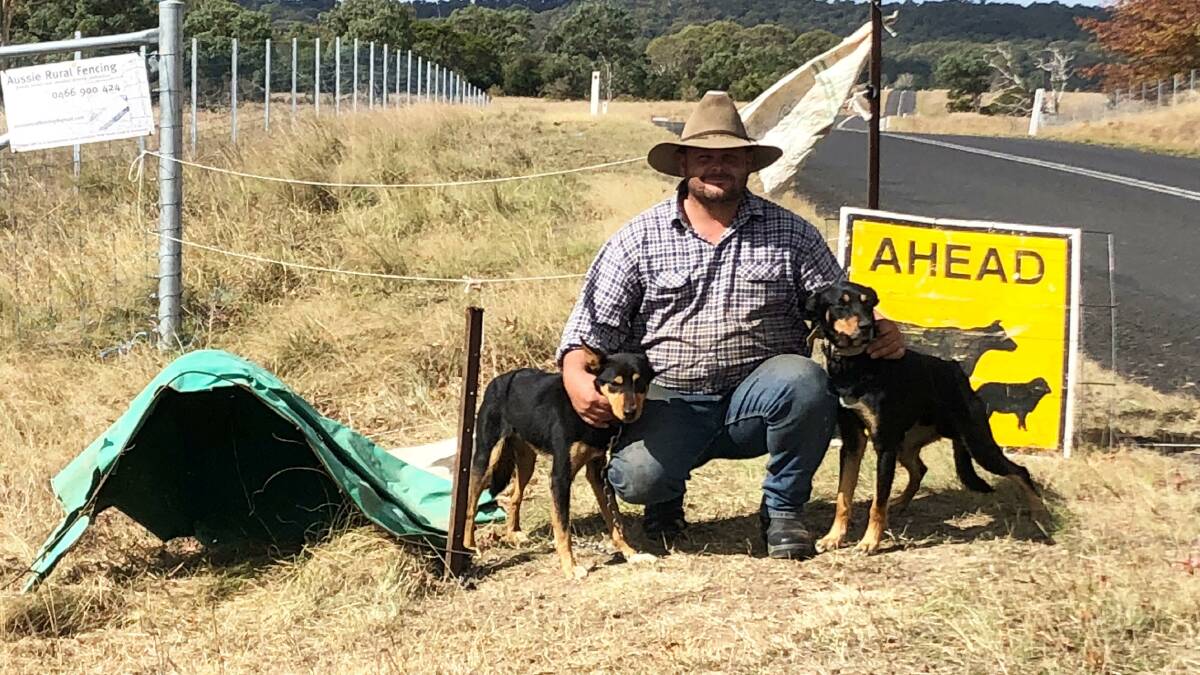 Robbie Cruickshank with Ned and Jimbo. They were stolen and recovered in a single day, but wife Jo says theft is 'nothing' compared to other incidents.