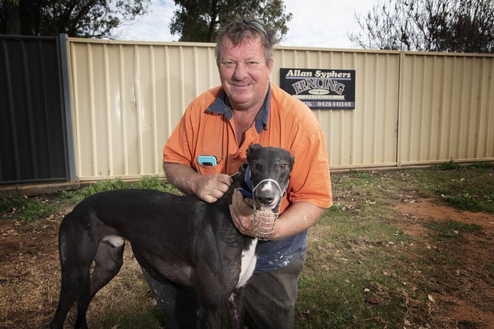 SPEEED MACHINE: Allan Syphers and Murphey, who will contest the Tamworth Cup on Saturday. Photo: Peter Hardin