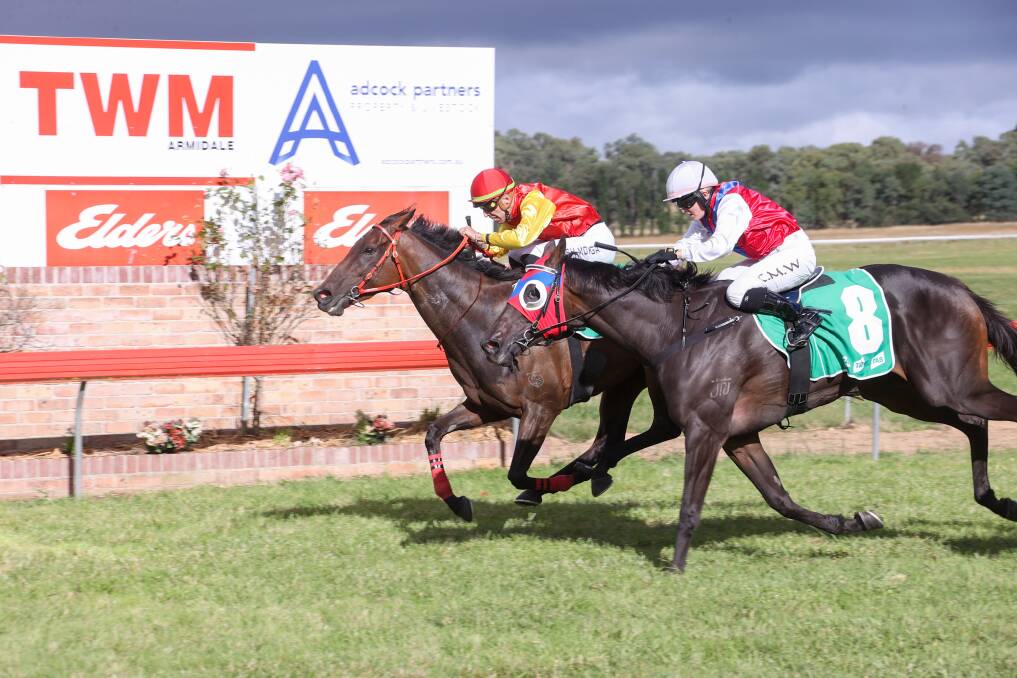 HARD FOUGHT: Ashley Morgan pilots Valley's Sister to victory over Flying Mojo (Casey Waddell) in the $45,000 Walcha Cup on Friday. Photo: Bradley Photography 
