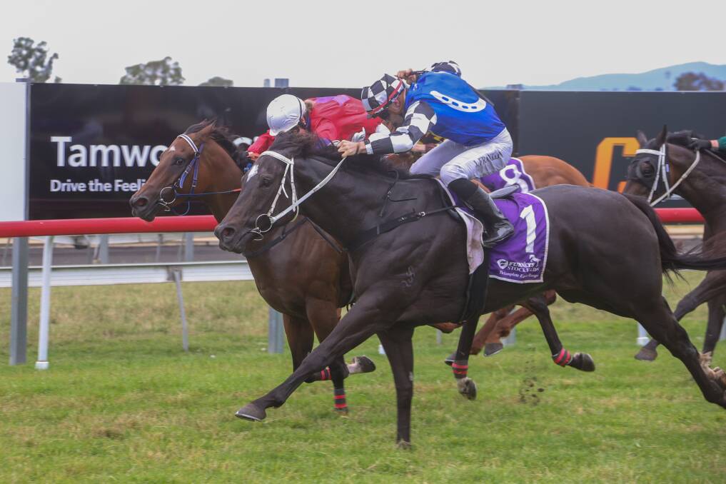 The Morgan-trained Broken Hill (Franklin) edges the Sue Grills-trained Jillonni (Chelsea Hillier) at Tamworth on Saturday. Picture by Bradley Photos