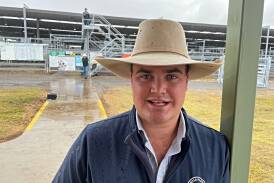 "I've got a pretty good lifestyle," says Michael Purtle, who is pictured at the Tamworth Regional Livestock Exchange on June 23, 2023. File picture by Mark Bode