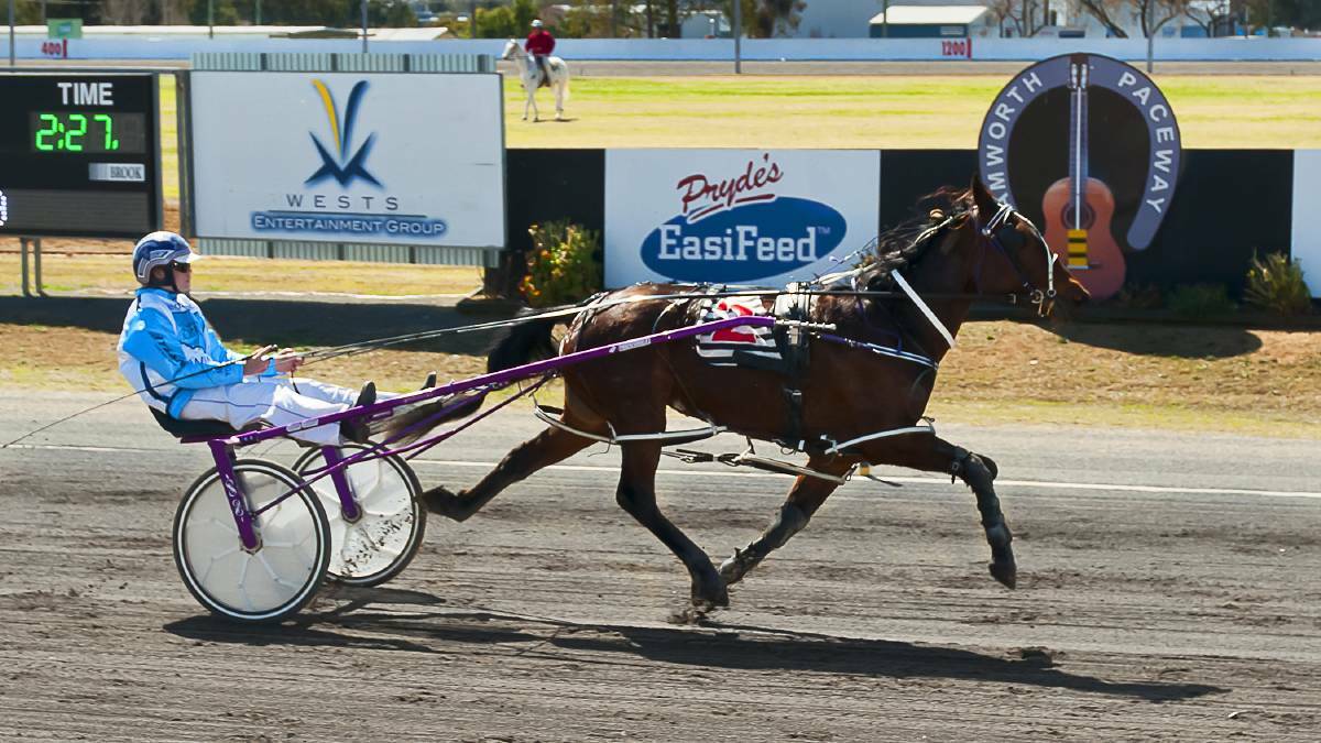 ON THE UP: Talented young reinswoman Madi Young has five drives at Armidale on Thursday afternoon. Photo: PeterMac Photography