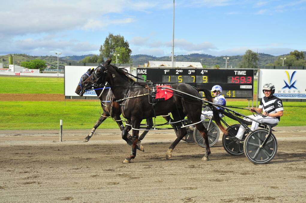 Christopher Shepherdson pilots Montana Nights to victory at Tamworth. Picture by PeterMac Photography 