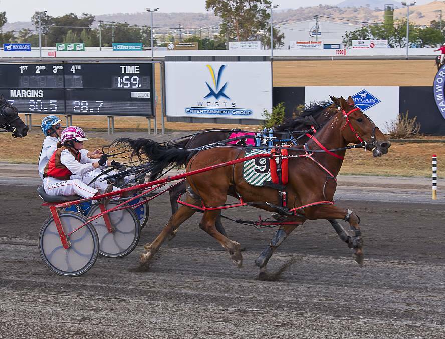 REWIND: Chapple in action at Tamworth Paceway. Photo: PeterMac Photography
