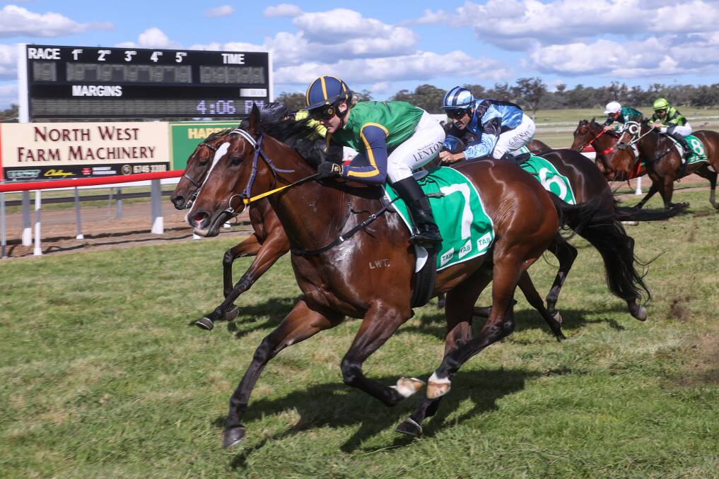 Kelsey Lenton pilots Arliebel to victory at Quirindi on Thursday. Picture by Bradley Photographers