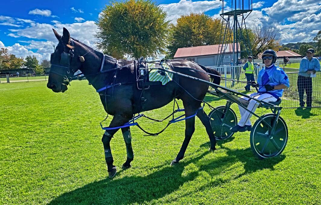 DOUBLE IMPACT: Jack Buckman and Always Bopping return to scale after winning at Armidale. Photo: Supplied