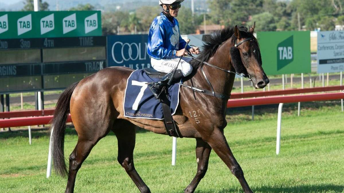 BIG DAY: The Todd Howlett-trained Two Big Fari (Mikayla Weir) will contest the $200,000 Tamworth Cup on Friday. Photo: Muswellbrook Race Club