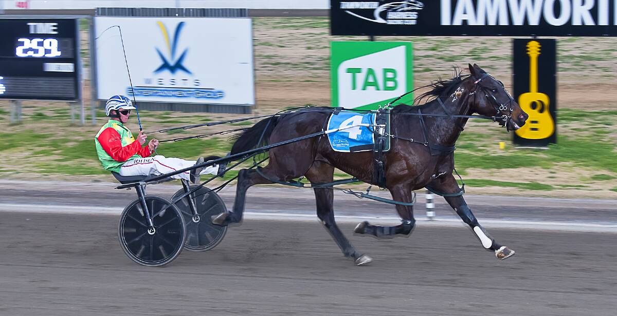 SUCCESS: Tom Ison steers I'm Compliant to victory at Tamworth Paceway on Thursday. Photo: PeterMac Photography