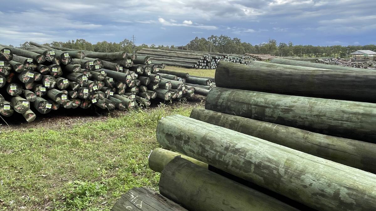 Durable native hardwood poles, 25-30 years old at harvest, provide critical cash flow for private plantation owners while Crown lands can no longer offer volume due to the acreage being locked-up.