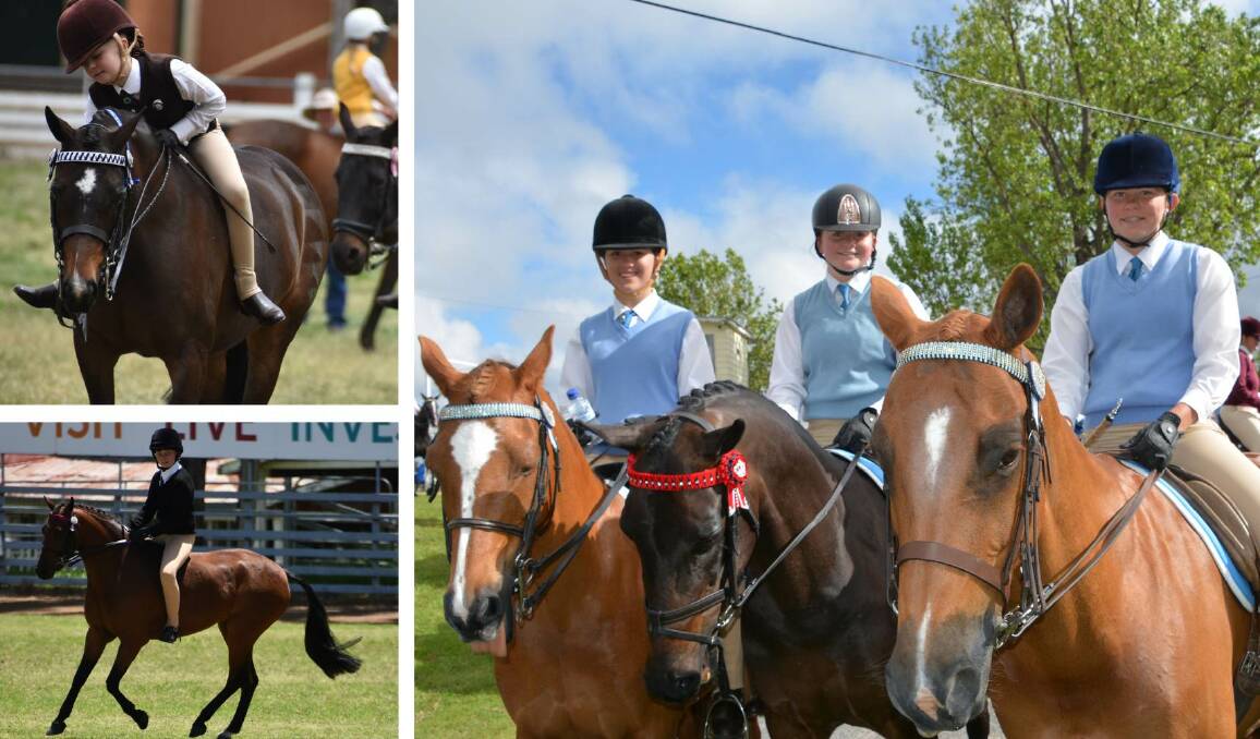 Riders from around the region will represent Zone 13 at the state show riding championships in Glen Innes at the weekend. Pictures by Ellen Dunger and Melinda Campbell