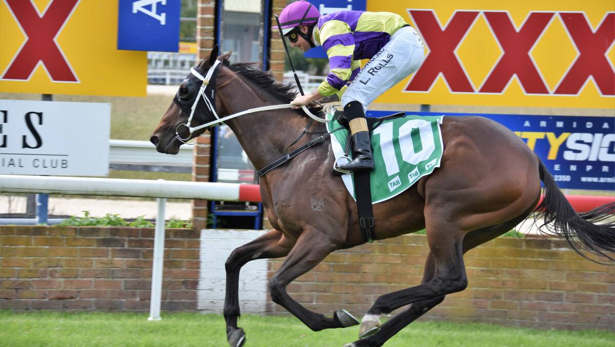 Jockey Luke Rolls and Stirling Osland's Kingstar Bullet will team up again for Friday's Walcha Cup. 