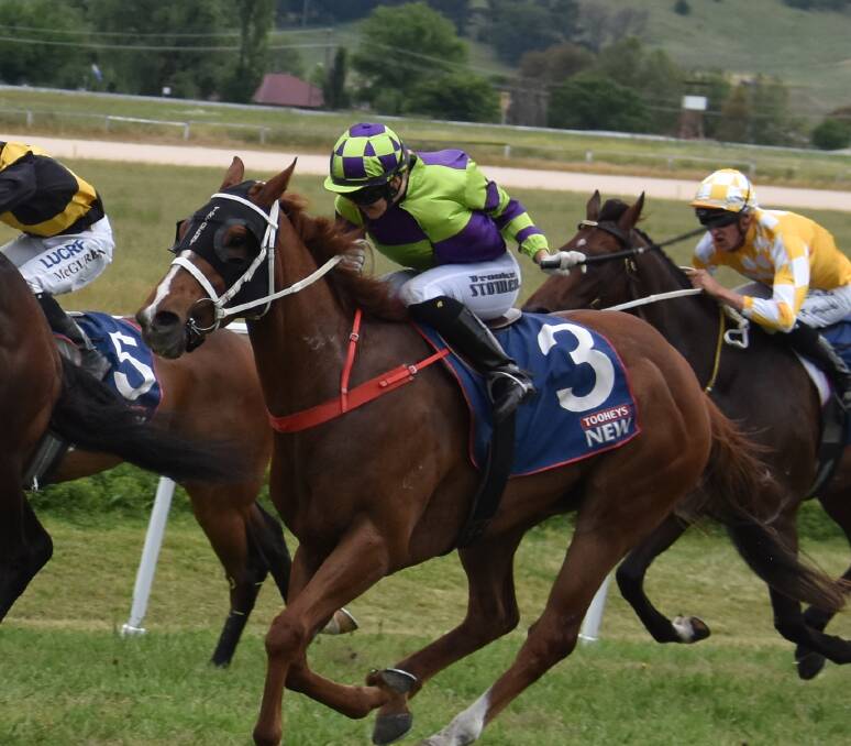 Golden Point, pictured running at Armidale in November, won a Highway on Saturday. 