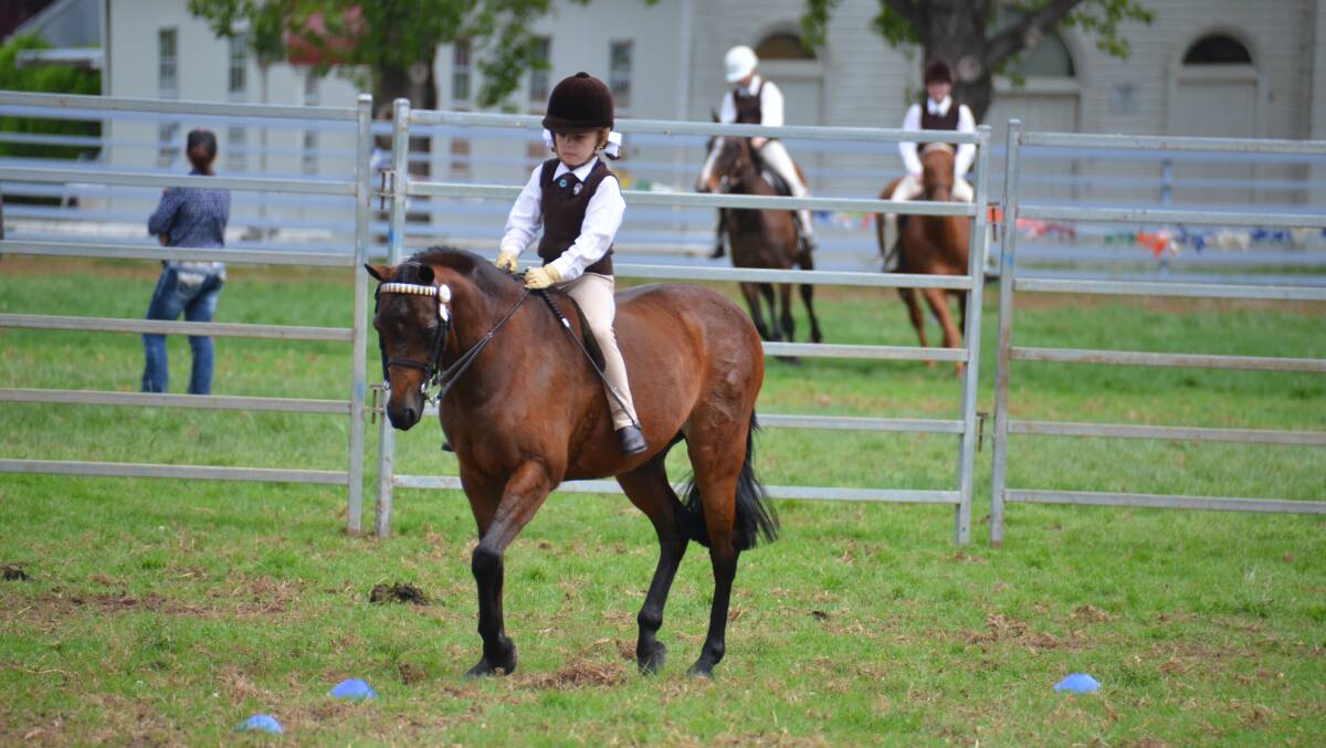 Pony Clubbers will compete in the show riding events. 