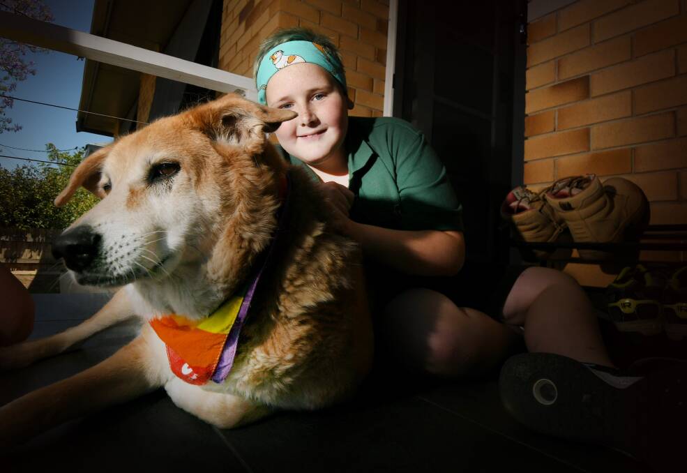 LOCAL LEGEND: Scott Cronberger, 12, raised thousands of dollars for cancer charity Canteen, with his dog Ruby by his side. Photo: Gareth Gardner