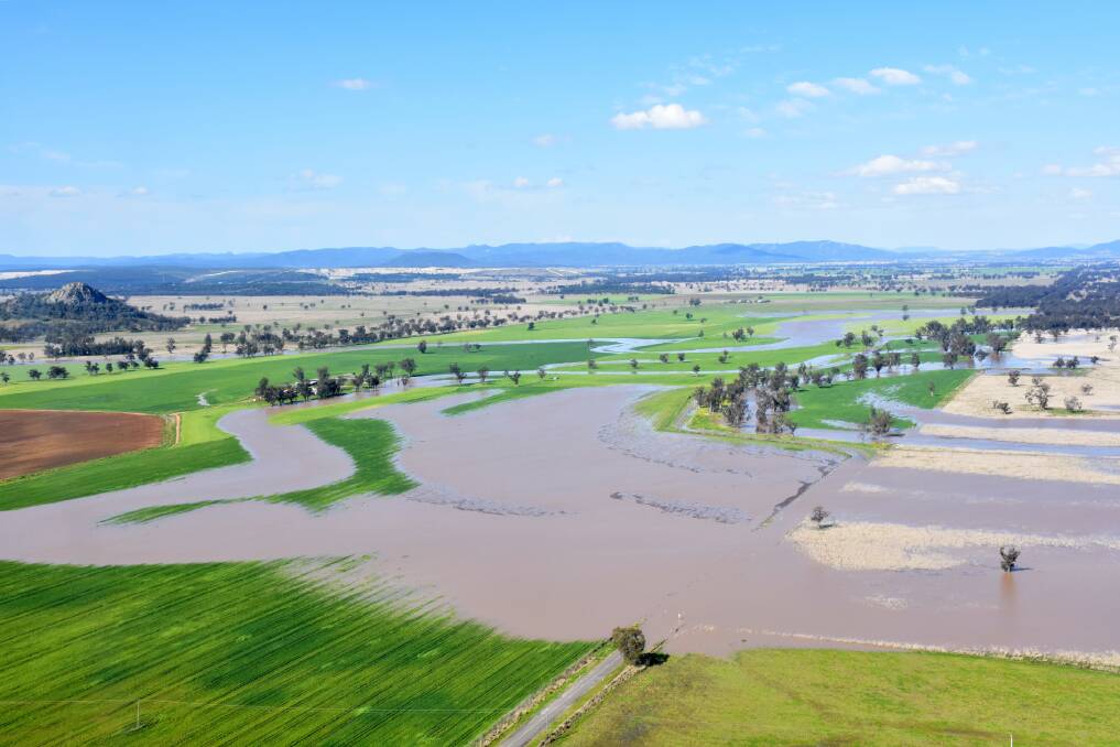 Flooding on crops north of Gunnedah in September. Picture by Gunnedah Shire Council 