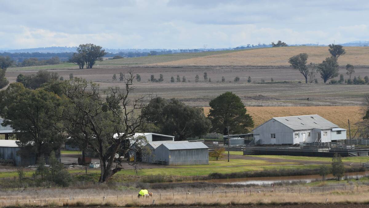 APPROVED: The 999-head feedlot at Lloma on Pendene Road, Loomberah, has divided some members of the community. Photo: Gareth Gardner, file 