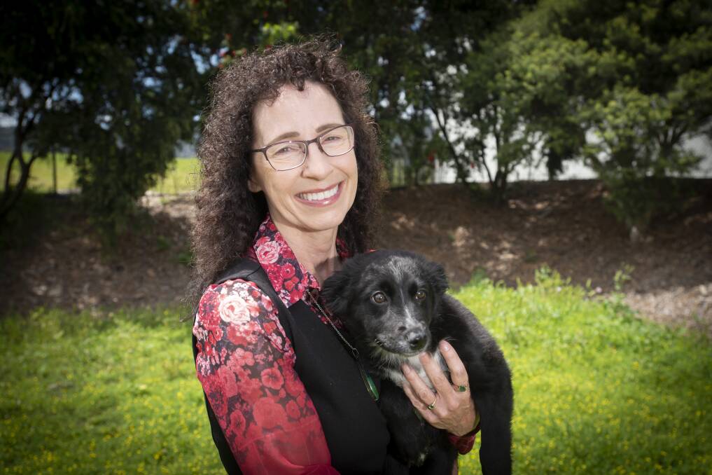 Tamworth council's director of liveable communities Gina Vereker with Sadie, who has recently been adopted from the pound. Picture by Peter Hardin