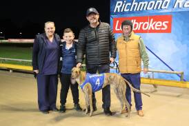 Greyhound King Can't Win has won six times from 11 starts. Picture supplied
