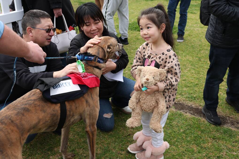 Greyhounds as Pets' 2024 the Winter Adoption Day will be at Gough Whitlam Park in Earlwood on August 18. Picture supplied