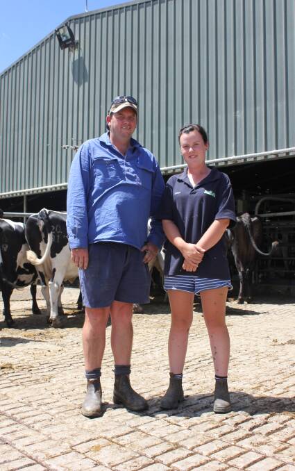 DAIRY FARM: Walcha Dairy Farm staff David O'Connell and Kaitlyn Polkinghorne prepare the pregnant cows to be milked. These cows are on a special diet.