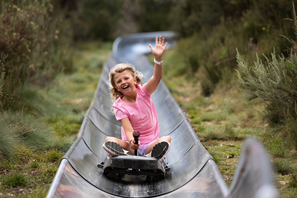 The bobsled is another thrilling experience to enjoy at Thredbo this summer. Picture Thredbo Resort