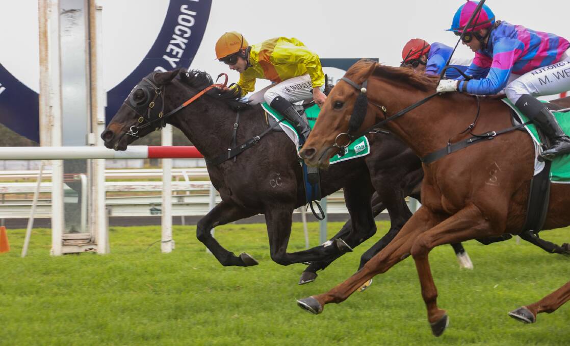 By a nose: Ridden by Bailey Wheeler, Strelitzia (left) claims a narrow win at the Tamworth Racecourse on Monday, which was also her debut 2100m event on a good track. Photo: Bradley Photos.