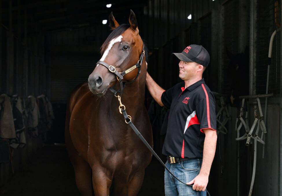 Talbragar is the most talented horse Cody Morgan has ever had in his stables. Picture by Gareth Gardner. 
