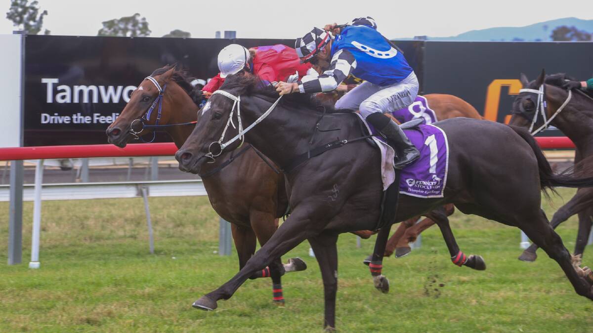 Broken Hill (front) is steered to victory by Jasper Franklin at the Tamworth Jockey Club's Christmas Eve meet last year. Picture by Bradley Photos. 