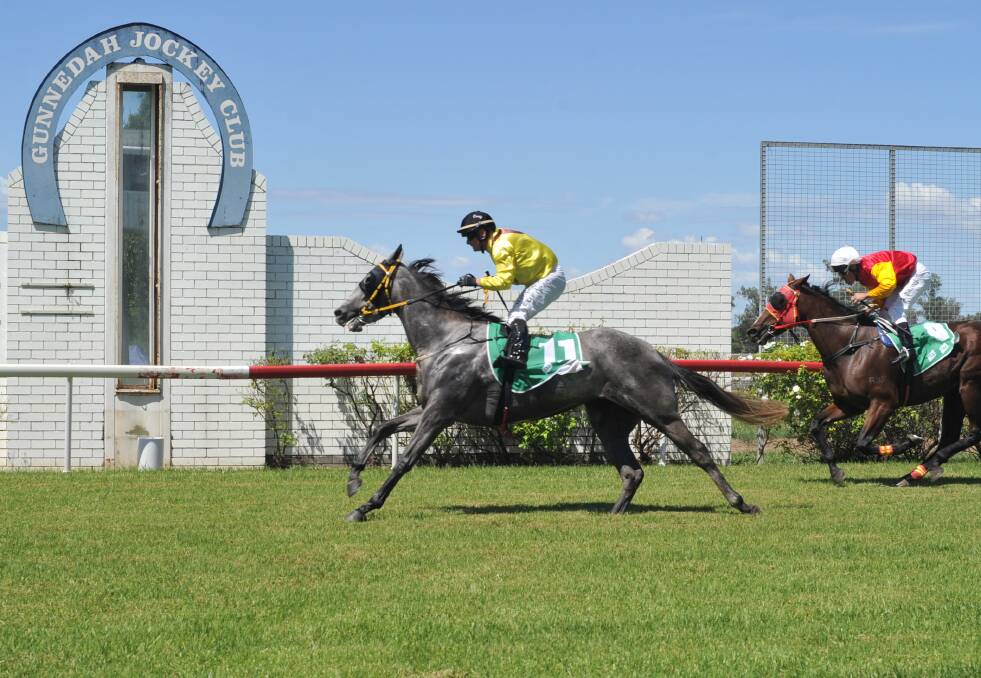 Away: Sligo Queen edges out her competitors after a thrilling comeback to win the Vale Terry Burke Maiden Plate - a win which meant the world to trainer Sally Torrens. Photo: Bradley Photos. 