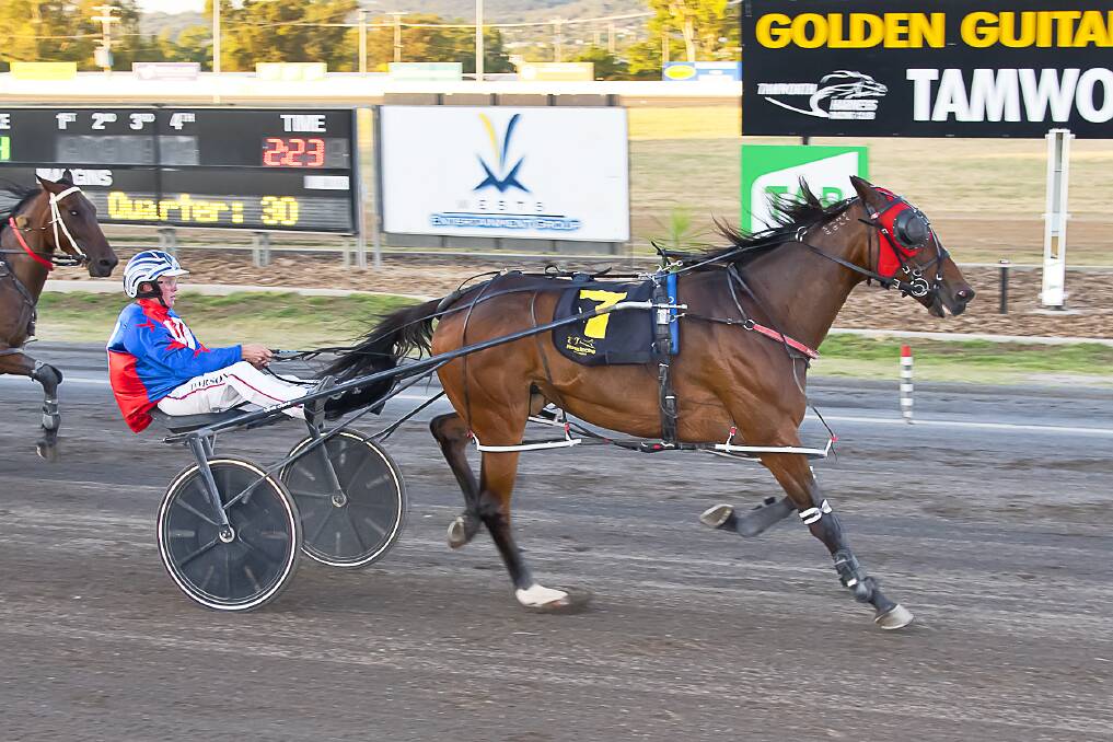 Tom Ison guiding Gottashopearly into a heat win at Tamworth. Picture by PeterMac Photography.
