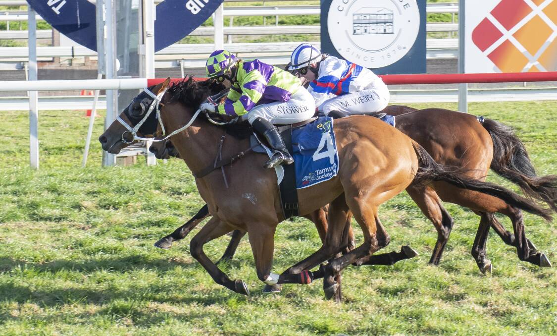 Point Counterpoint (seen here winning the Moree Cup in September) ran fourth in the Little Dance in Royal Randwick on Tuesday. Picture by Peter Hardin. 