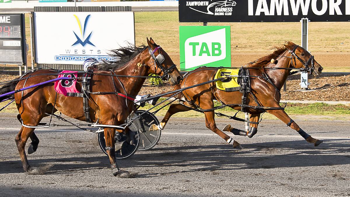 Tom Ison and Metallica Man winning the second heat of the Golden Guitar (no 5) over Bathurst pacer Promising. Picture by PeterMac Photography.
