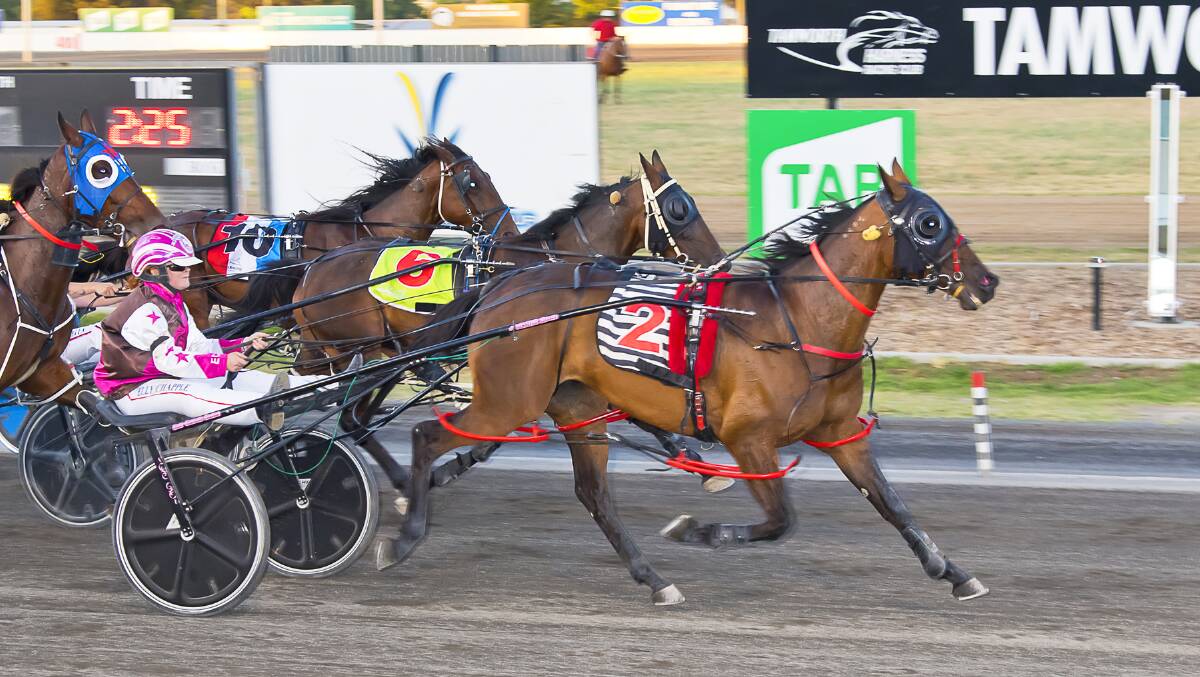 Elly Chapple and Nor Westa enjoying a win at Tamworth last Tuesday. Picture by PeterMac Photography. 