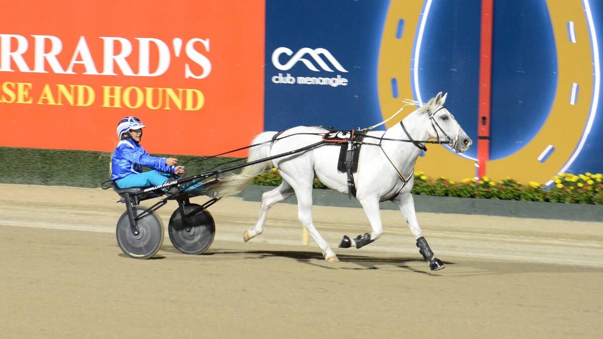 Past the post: Mia McMillan claimed Tamworth's only win of the night on Saturday at Club Menangle driving Lumberjack Willie in the Pony division. Photo: Lett Photography.