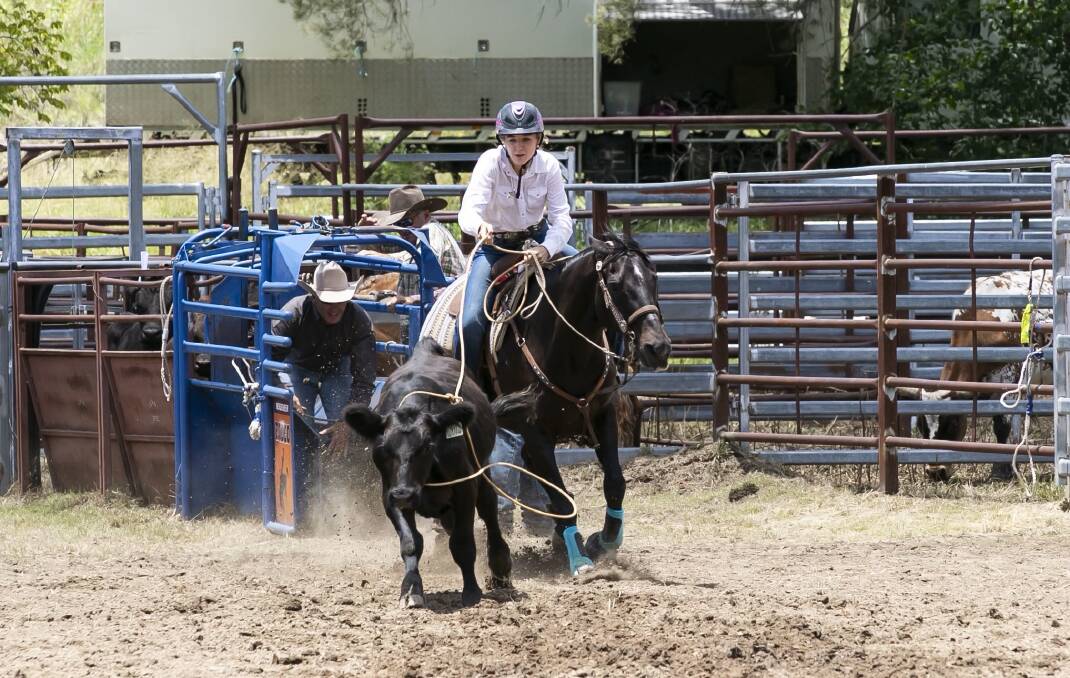 Bridie rides Ranchwood Spike to the win in round two of the breakaway roping at the recent Australian High School Rodeo Association High School Finals. The 27-year-old has been part of her family since before she was born and her brother, mum and grandmother have all competed on him. Picture by Gavin Little Photography.