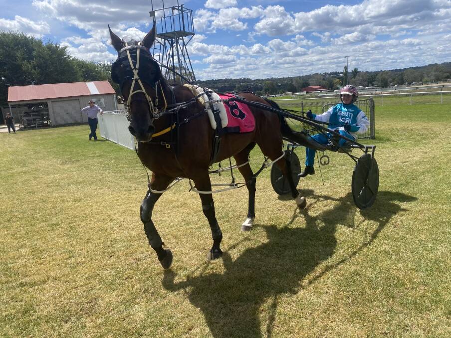 Grace Panalla returns to scale with Master Catch after the Lisa McDonald-owned and trained gelding took out Sunday's Armidale Cup. Picture Julie Maughan