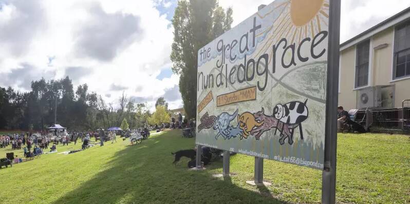 The Great Nundle Dog Race is one of a number of events that help drive the local tourism economy. Picture by Peter Hardin