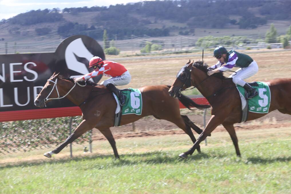 Matt McGuren made it back-to-back Glen Innes Cup victories when he piloted the Cody Morgan-trained Aytobe to a length win over Amazingly, who he partnered to win last year's race. Picture Bradley Photographers.