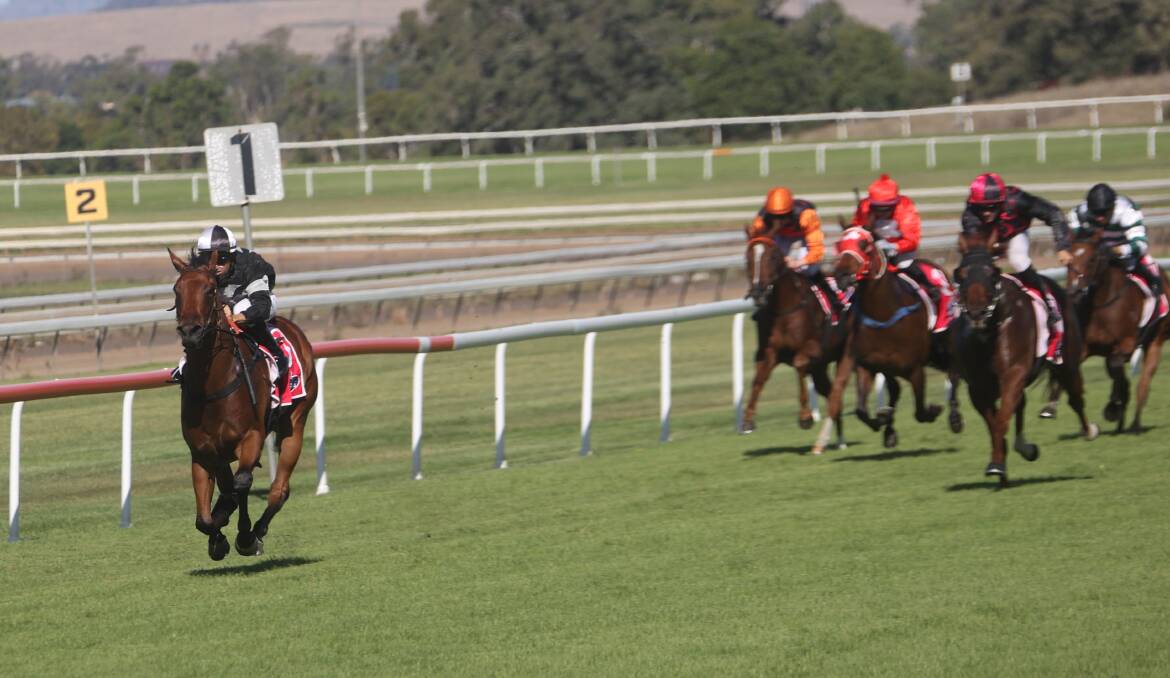 The Mark Mason-trained Who Goes There was dominant in winning on debut at Scone on Tuesday. Picture by Bradley Photos