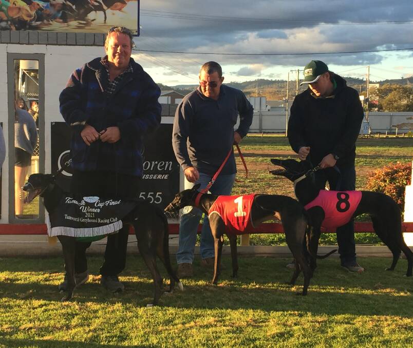 A class above: The Allan Syphers-trained Murphey made it 20 wins from 40 starts and back-to-back Tamworth Cups on Saturday.