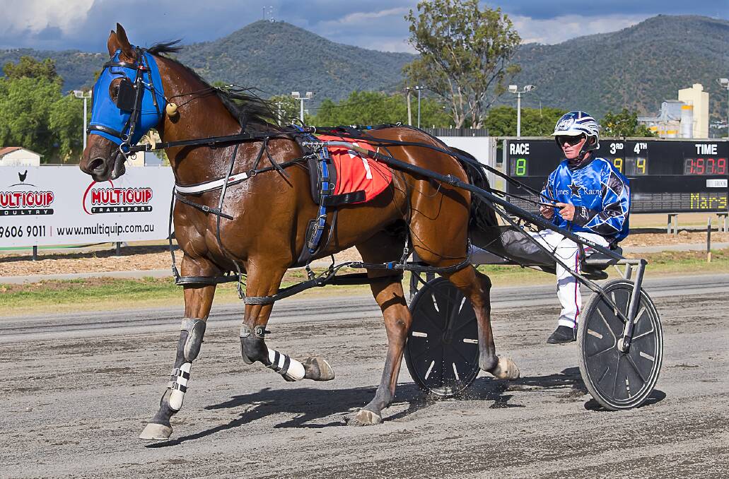 Fresh from a win behind Mega Star (pictured) last week, Tamworth reinsman Tom Ison is eyeing off more success as the Tamworth Harness Racing Club's Golden Guitar carnival gets underway on Tuesday. Picture PeterMac Photography