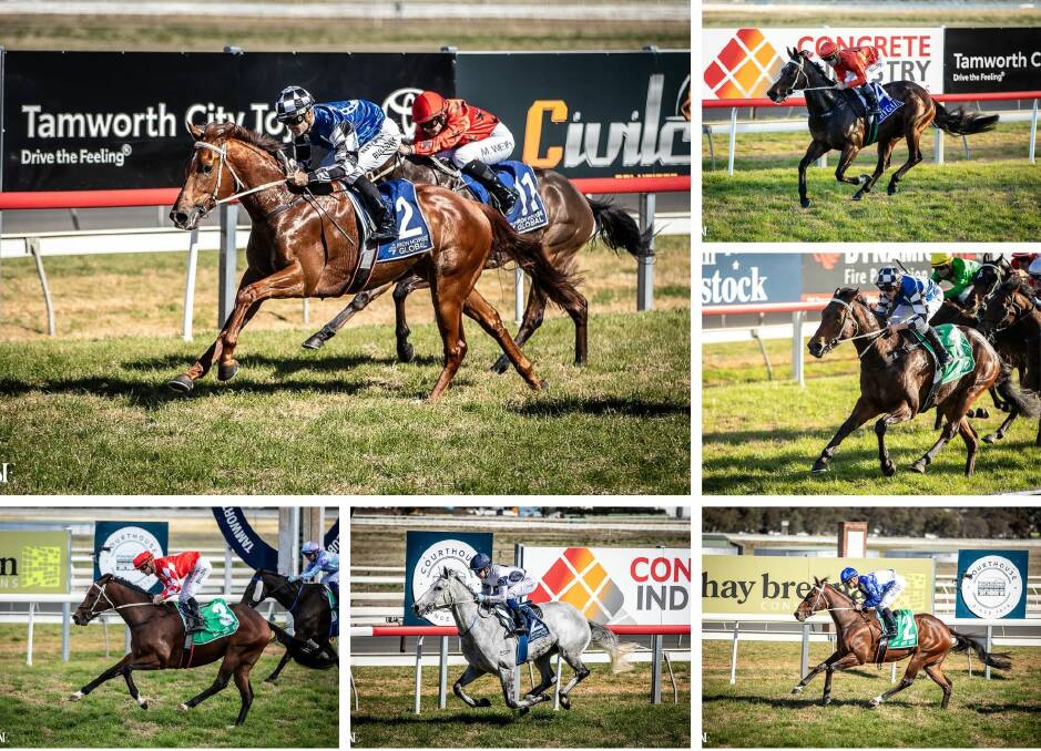 The magic six (clockwise from top) Koga Ninja, Le Melody, Satay Chicken, Outback Ringer, Gunmetal and Aesthete. Pictures Winning Edge Media