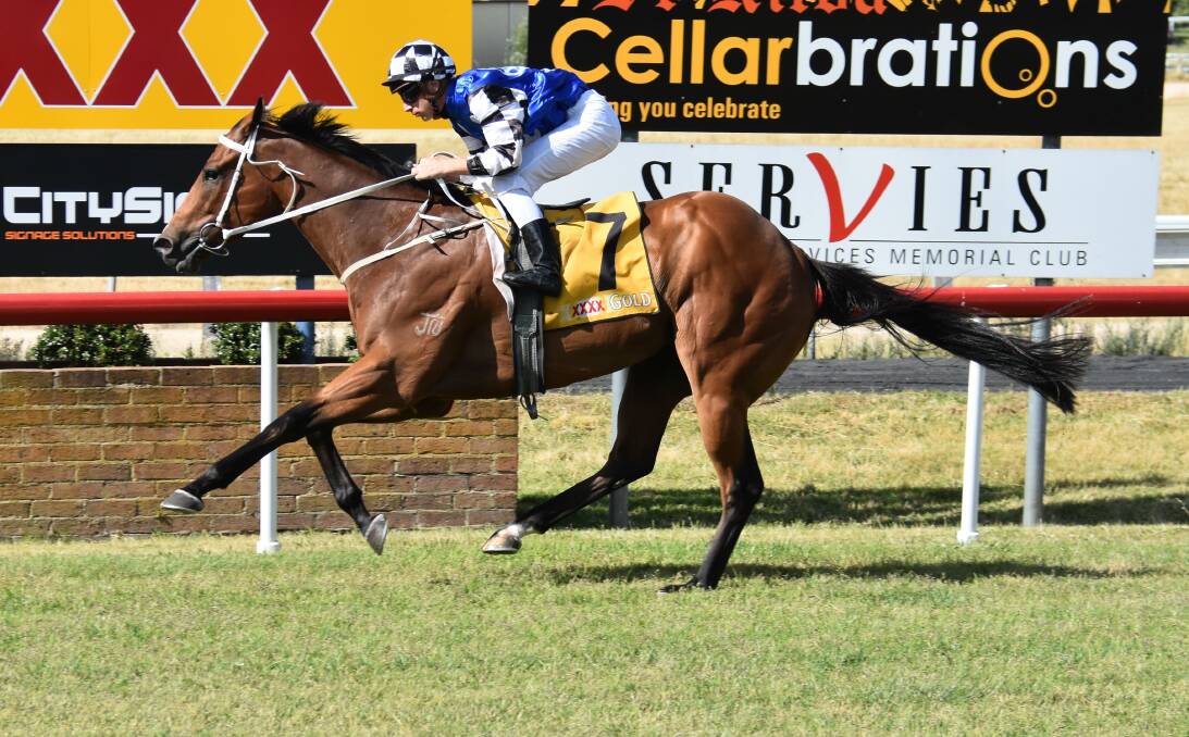 Ezekeil, pictured here winning at Armidale last month, will jump as one of the favourites for Saturday's Magic Millions Country Cup. Picture by Ellen Dunger