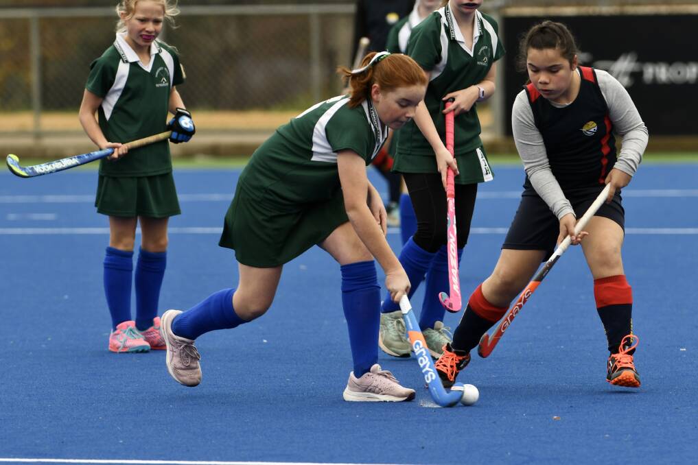 2023 is shaping up to be another big year for the Tamworth Hockey Association with their annual York Cup and Kim Small Shield one of four major tournaments they will host.