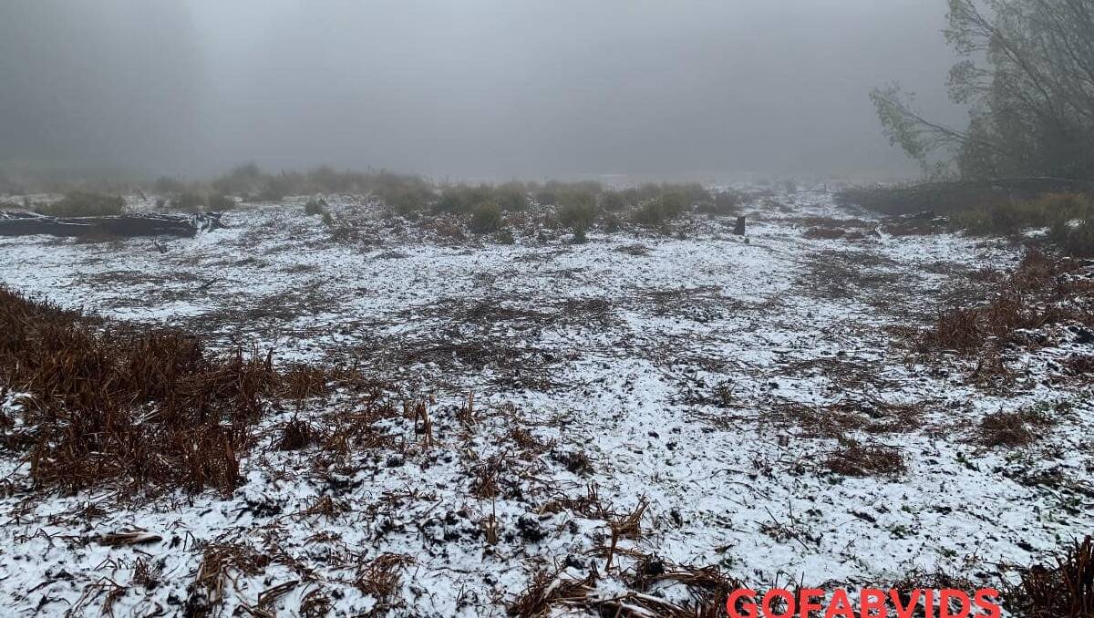 Snow Falls Near Hanging Rock In New England Ranges The Northern Daily Leader Tamworth Nsw