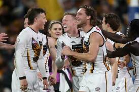 Happy Hawks: Hawthorn's drive towards the finals has continued with a thrashing of Adelaide. Photo: Matt Turner/AAP PHOTOS