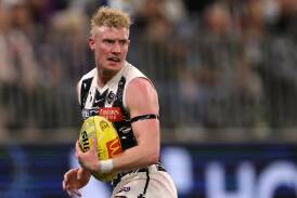 John Noble is adamant Collingwood can still play in the AFL finals.  Photo: Richard Wainwright/AAP PHOTOS