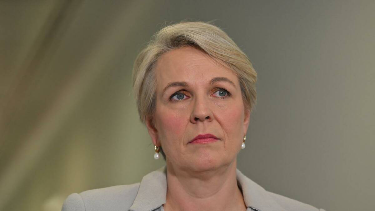 Tanya Plibersek says more needs to be done to protect the Great Barrier Reef. (Mick Tsikas/AAP PHOTOS)