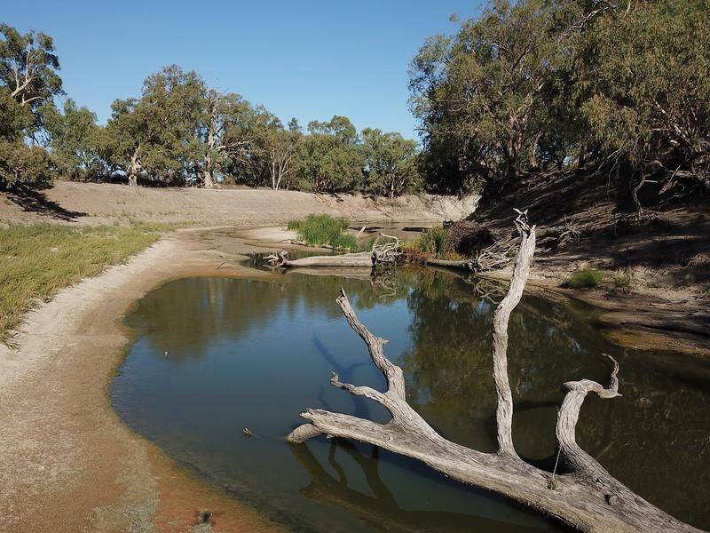 The $13 billion Murray-Darling Basin Plan aims to return 450 gigalitres of water by 2027. (Dean Lewins/AAP PHOTOS)