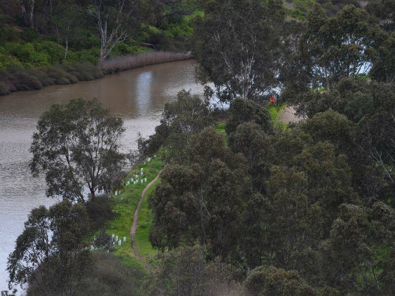 A woman has been charged with murder after her alleged victim's body was found in a river. Photo: Tracey Nearmy/AAP PHOTOS